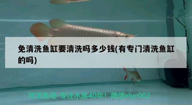 江苏兴锻智能装备科技有限公司 观赏鱼企业目录 第2张