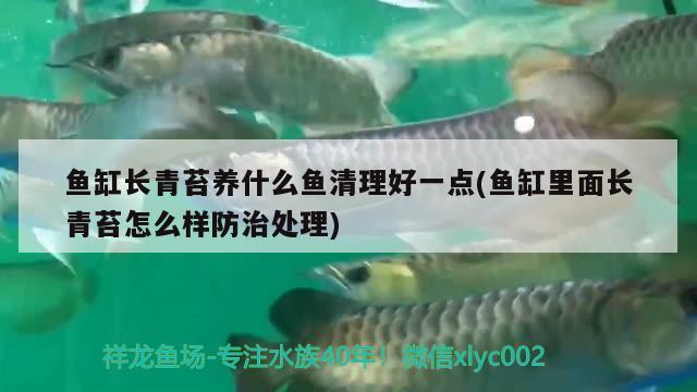 东河区哈学峰观赏鱼店 全国水族馆企业名录 第1张