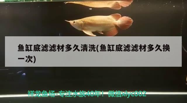 安庆水族馆看会鱼去上班