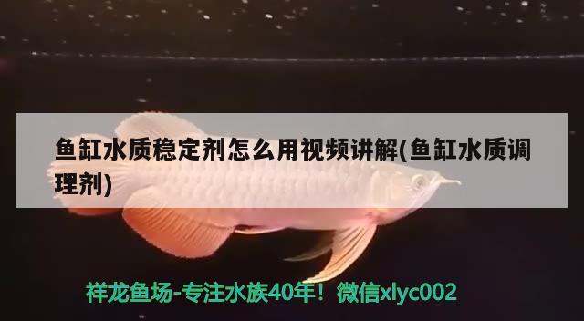 台湾鱼缸加热棒品牌有哪些：国产鱼缸加热棒哪款质量稳定
