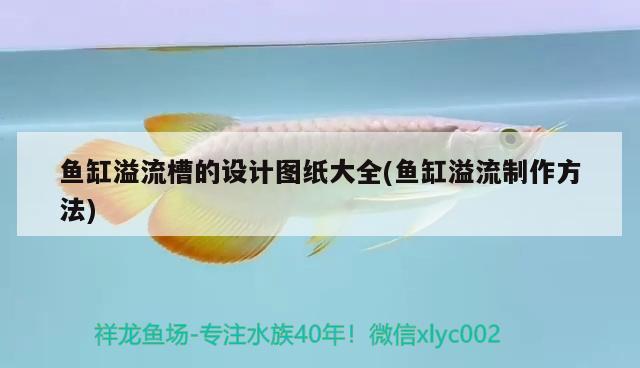 中卫水族馆 观赏鱼企业目录 第1张