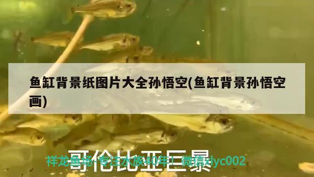 鱼缸100升水放多少二氧化氯（100升水加多少二氧化氯） 鱼缸净水剂