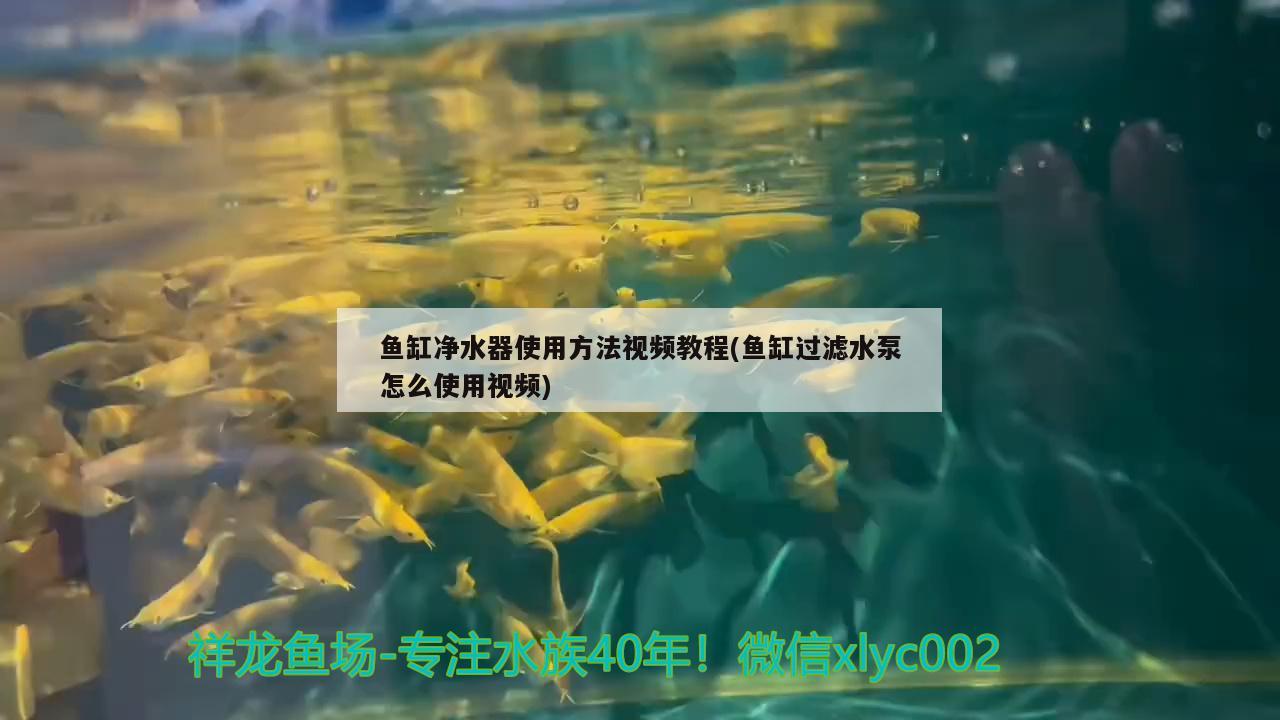鱼缸净水器使用方法视频教程(鱼缸过滤水泵怎么使用视频)