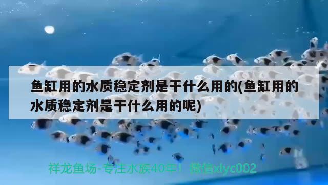 玉山县高旗鱼鸟店 全国水族馆企业名录