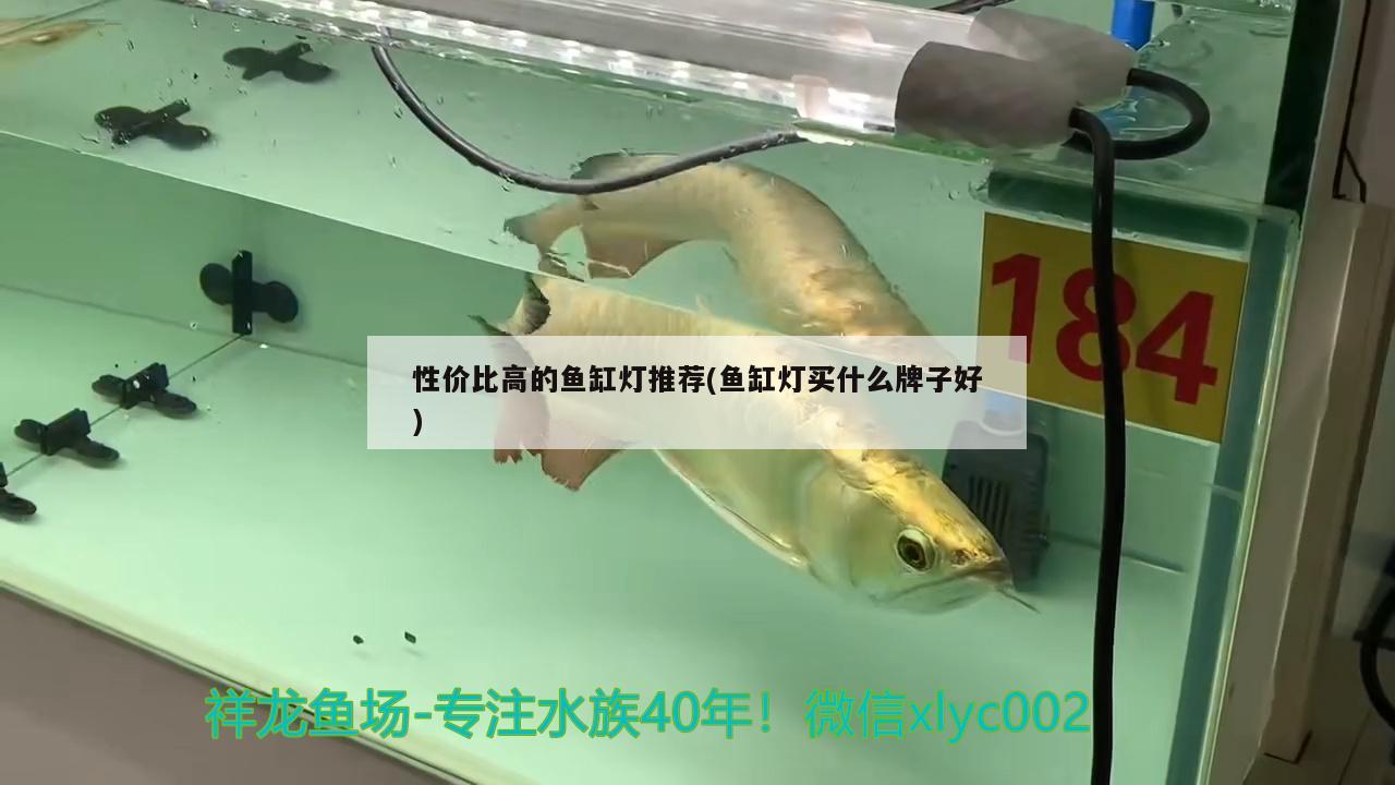 沧州鱼缸柜子厂家直销电话多少（沧州哪里有定做鱼缸的） 银河星钻鱼 第1张