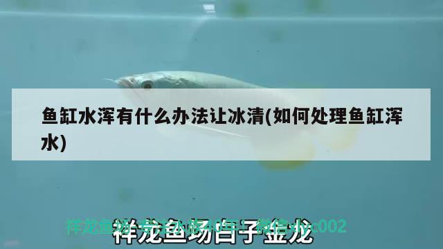 鱼缸长80cm宽30高50（鱼缸5块玻璃尺寸） 暹罗巨鲤 第1张
