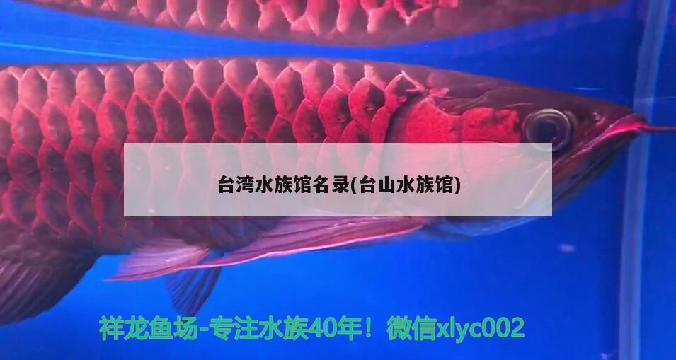 台湾水族馆名录(台山水族馆) 广州祥龙国际水族贸易