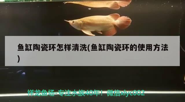 台湾水族馆儿童免票吗(上海海洋水族馆儿童免票吗)
