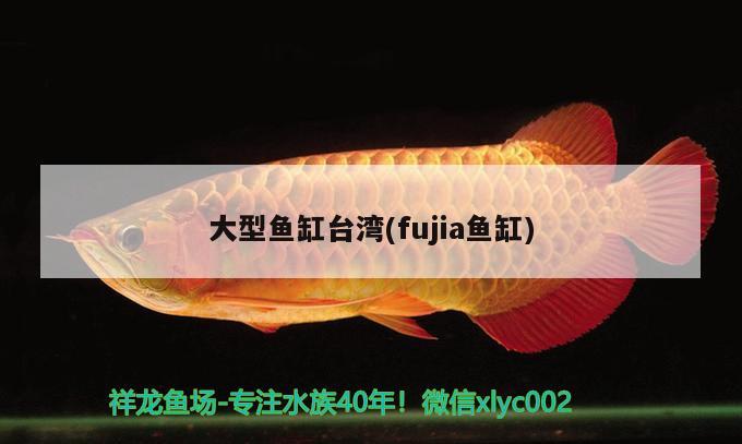 大型鱼缸台湾(fujia鱼缸)