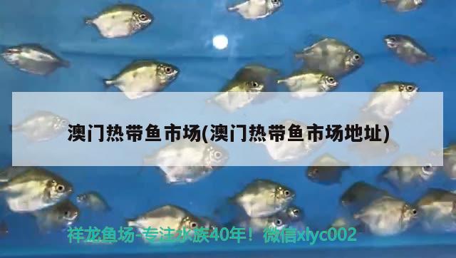 临汾水族馆广州康龍养鱼人 鱼缸清洁用具 第3张