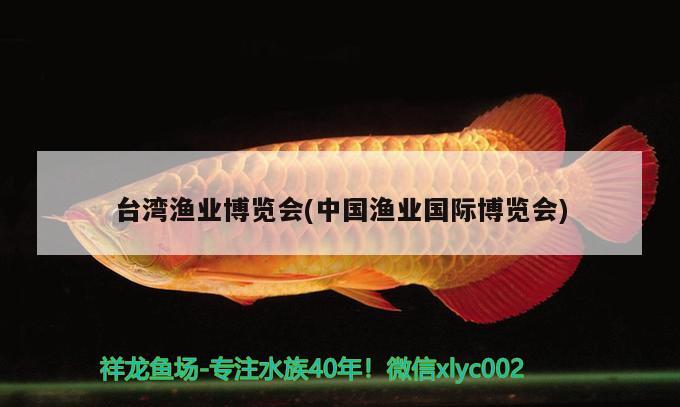 临汾水族馆广州康龍养鱼人 鱼缸清洁用具 第2张