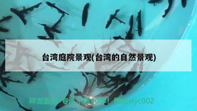 台湾庭院景观(台湾的自然景观) 广州祥龙国际水族贸易