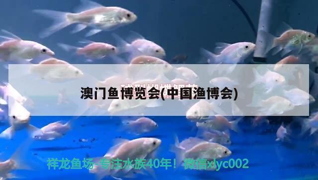 澳门鱼博览会(中国渔博会) 广州祥龙国际水族贸易