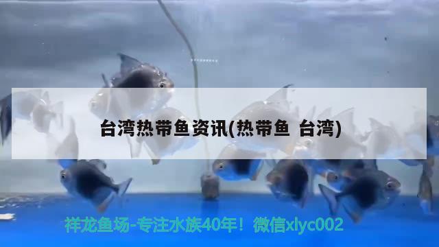 台湾热带鱼资讯(热带鱼台湾)