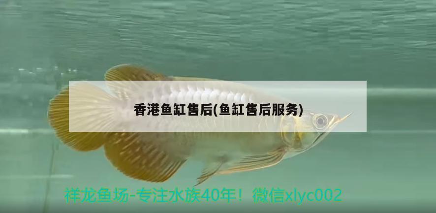 香港鱼缸售后(鱼缸售后服务) 广州祥龙国际水族贸易