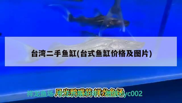 台湾二手鱼缸(台式鱼缸价格及图片) 广州祥龙国际水族贸易