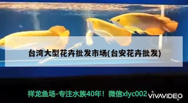 台湾大型花卉批发市场(台安花卉批发) 广州祥龙国际水族贸易