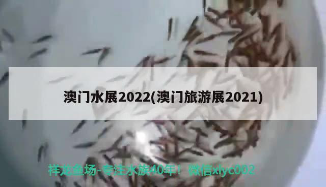 澳门水展2022(澳门旅游展2021)