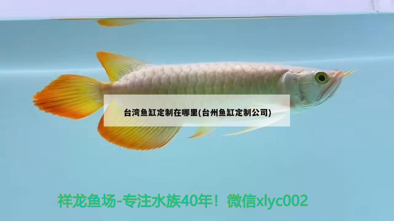 台湾鱼缸定制在哪里(台州鱼缸定制公司) 广州祥龙国际水族贸易
