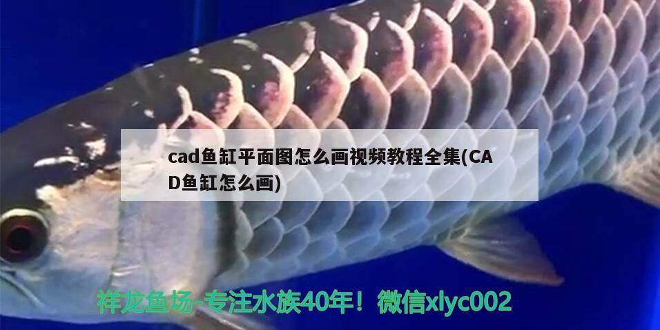 cad鱼缸平面图怎么画视频教程全集(CAD鱼缸怎么画)