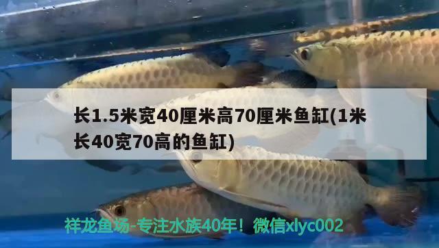 长1.5米宽40厘米高70厘米鱼缸(1米长40宽70高的鱼缸) 鱼缸风水