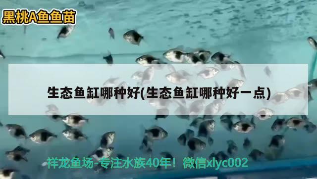 水桶diy鱼缸过滤器系统：自制小型鱼缸过滤桶 广州水族批发市场 第2张