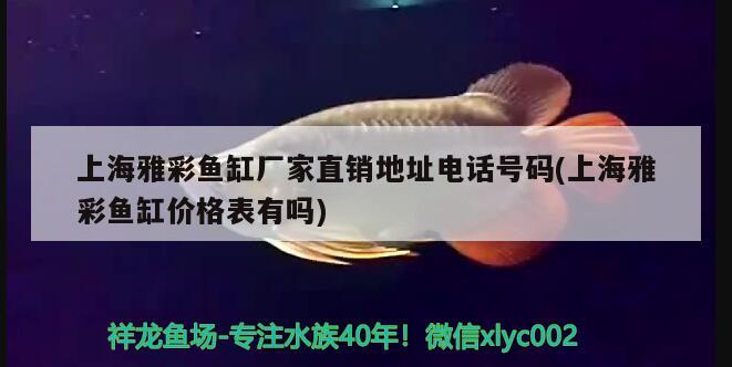 上海雅彩鱼缸厂家直销地址电话号码(上海雅彩鱼缸价格表有吗)