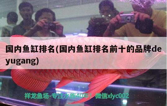 国内鱼缸排名(国内鱼缸排名前十的品牌deyugang)