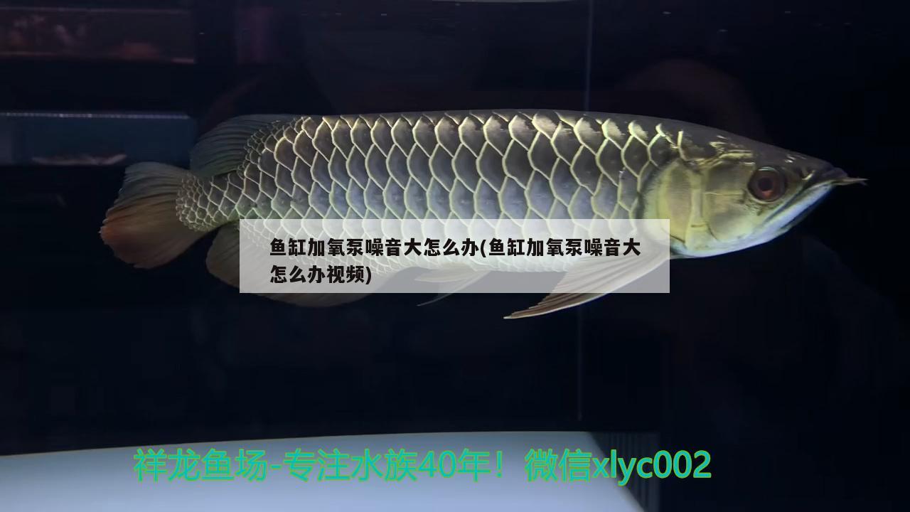 关于淮南市金龙鱼经销商电话号码的信息 金三间鱼 第1张