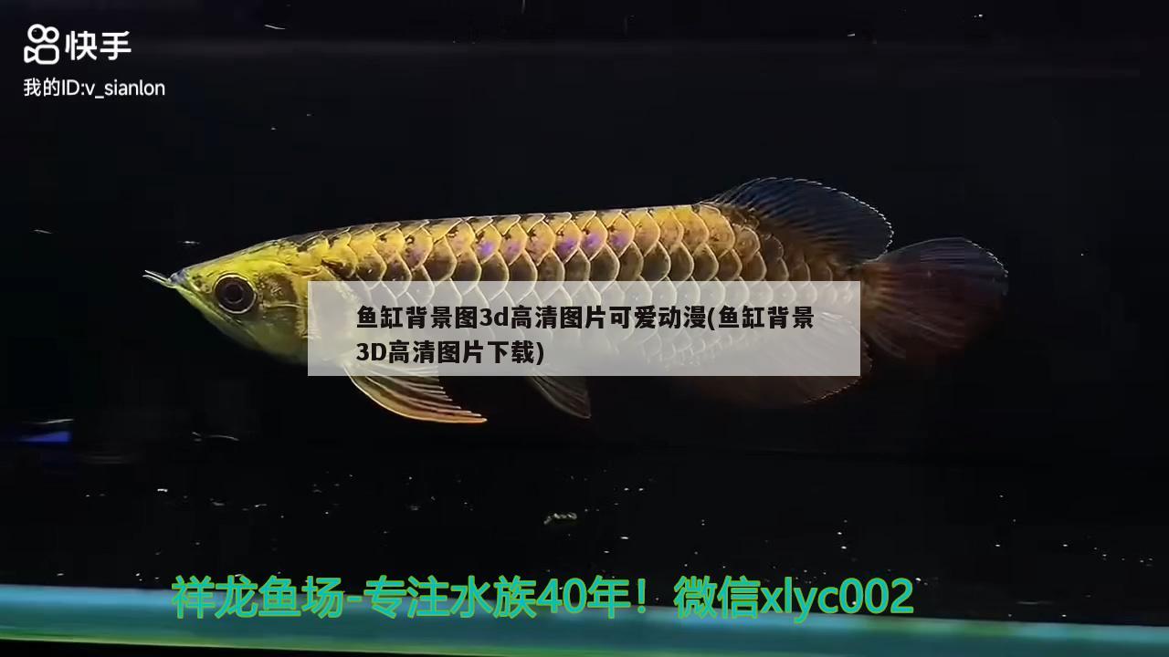 鱼缸背景图3d高清图片可爱动漫(鱼缸背景3D高清图片下载)