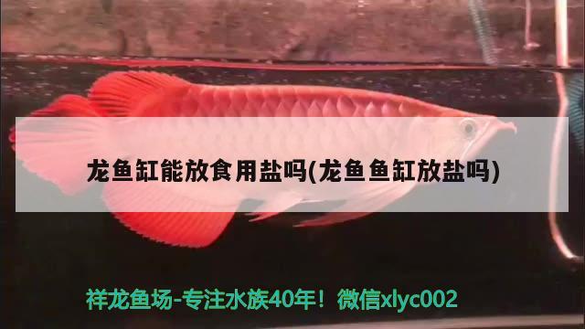 张家界水族馆（张家口有水族馆吗） 广州水族批发市场 第3张