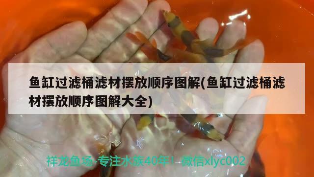广州水族馆闯缸鱼进去四天了