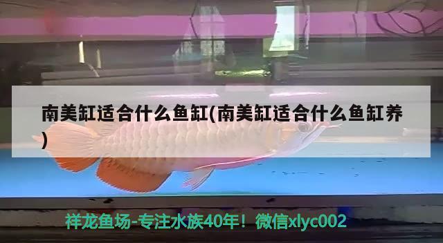 鱼缸玻璃裂了怎么修补图解（ 鱼缸玻璃裂了怎么修补图解法） 广州水族器材滤材批发市场