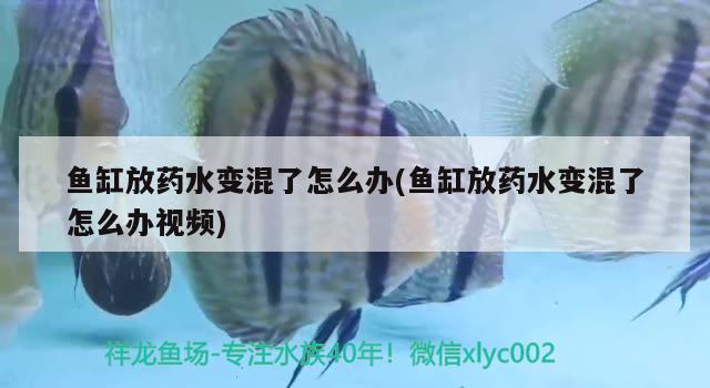 惠州鱼缸批发市场在哪里进货的呢（惠州鱼缸生产厂家） 其他品牌鱼缸 第3张