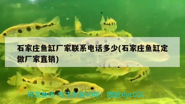 昌平鱼缸清洗服务电话（ 昌平卖观赏鱼的地方） 锦鲤鱼