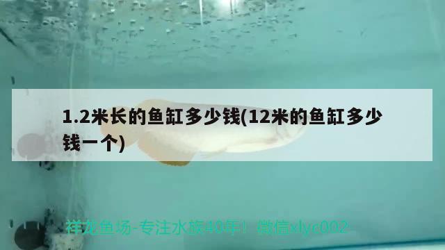 1.2米长的鱼缸多少钱(12米的鱼缸多少钱一个)