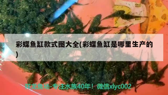 广东雄凯科技实业有限公司鱼缸 浙江雄凯集团怎么样 养鱼的好处 第2张