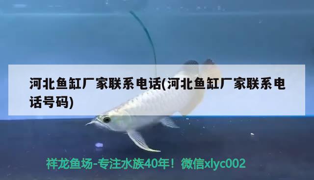 赞赞德彩水族宠物用品（杭州）淘宝店 全国水族馆企业名录 第1张