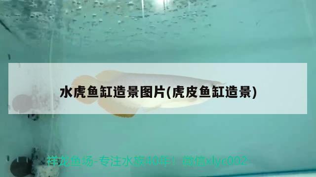 鱼缸自动清洗神器使用方法视频，鱼缸清洗神器使用方法