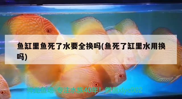 泰安鱼缸清洗公司电话多少号：泰安市水族箱鱼缸批发