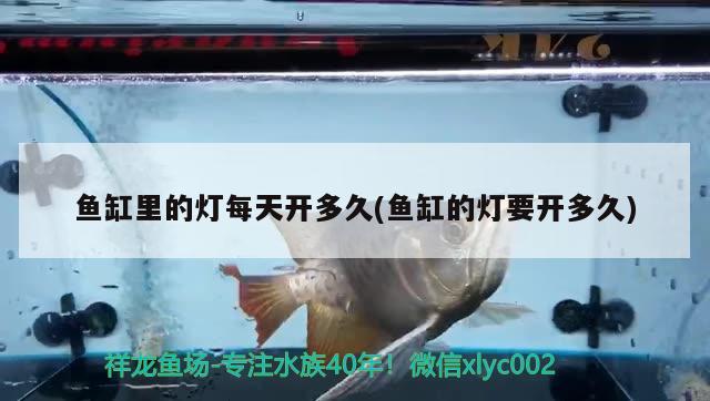 鱼缸里的灯每天开多久(鱼缸的灯要开多久) 广州观赏鱼批发市场