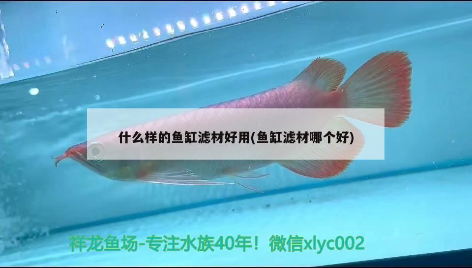 正常情况下鱼缸用多久会漏水（ 正常情况下鱼缸用多久会漏水呢） 广州祥龙国际水族贸易