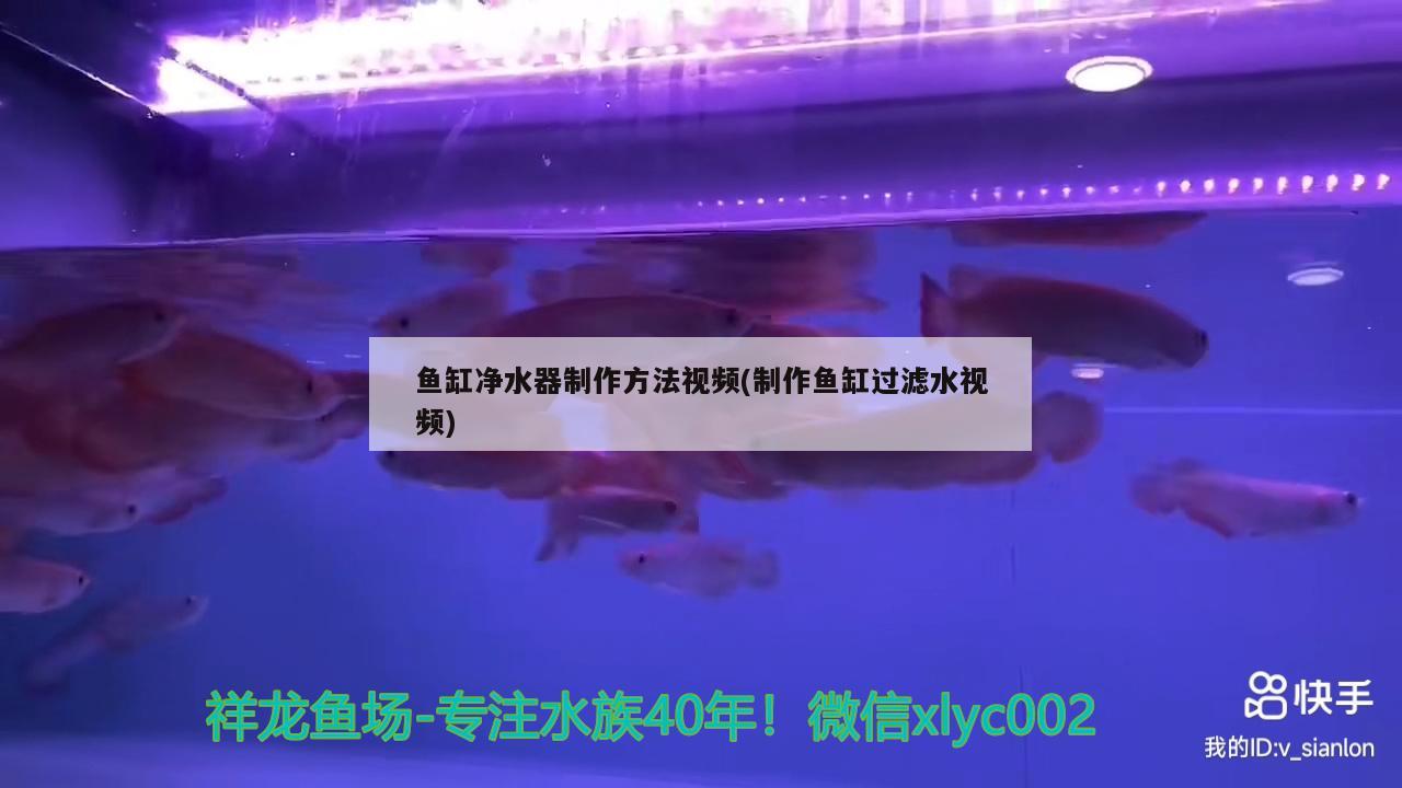 鱼缸净水器制作方法视频(制作鱼缸过滤水视频)