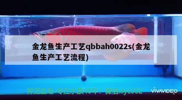 金龙鱼生产工艺qbbah0022s(金龙鱼生产工艺流程) 生态瓶/创意缸/桌面微景缸 第1张