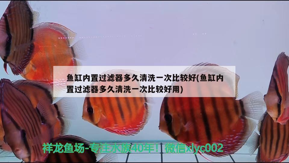 济南鱼缸回收电话多少号码：济南二手鱼缸转让58同城 广州水族批发市场 第2张