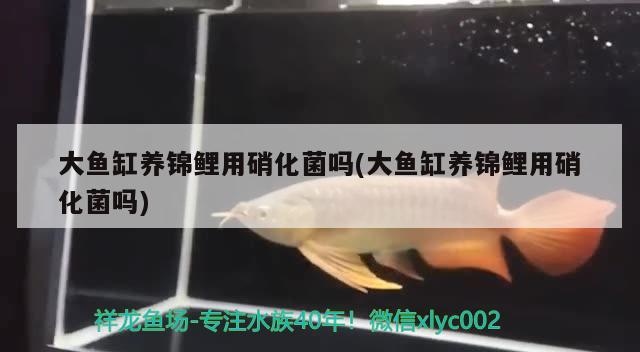 济南鱼缸回收电话多少号码：济南二手鱼缸转让58同城 广州水族批发市场 第1张