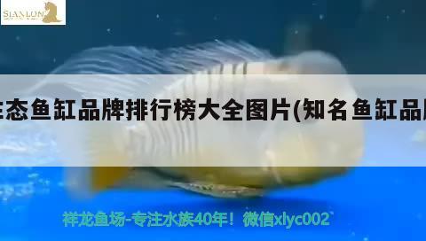 生态鱼缸品牌排行榜大全图片(知名鱼缸品牌)