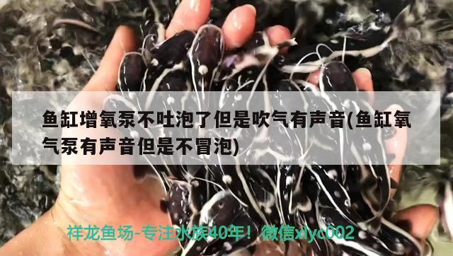锦州观赏鱼市场河北中瓷电子科技股份有限公司 观赏鱼市场（混养鱼） 第3张