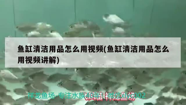 鱼缸清洁用品怎么用视频(鱼缸清洁用品怎么用视频讲解) 伊巴卡鱼