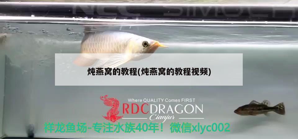 广州董珠贸易店 全国水族馆企业名录 第2张